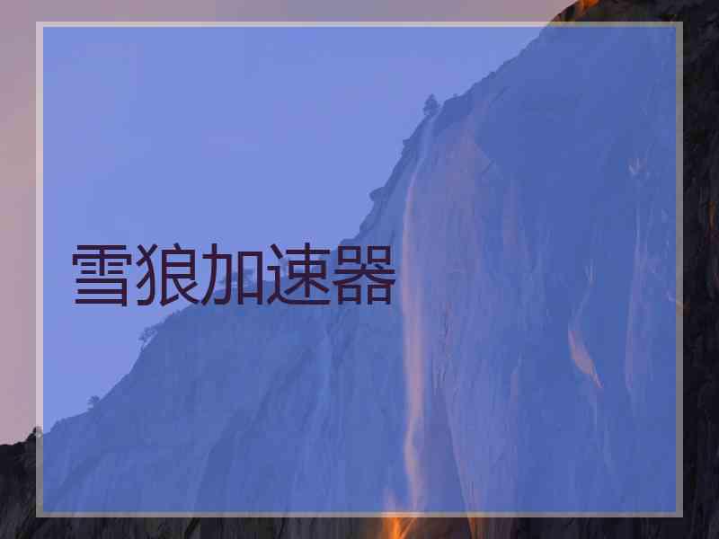 雪狼加速器