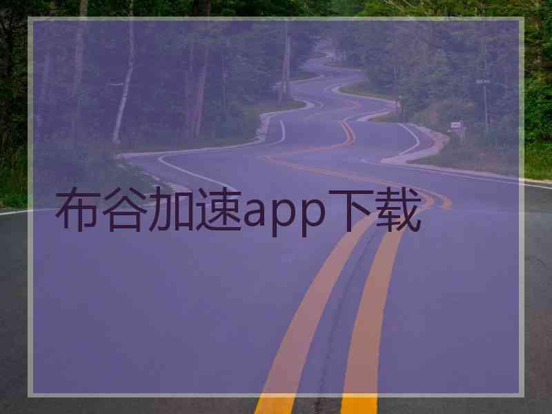 布谷加速app下载