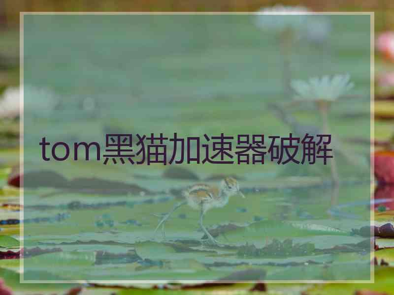 tom黑猫加速器破解