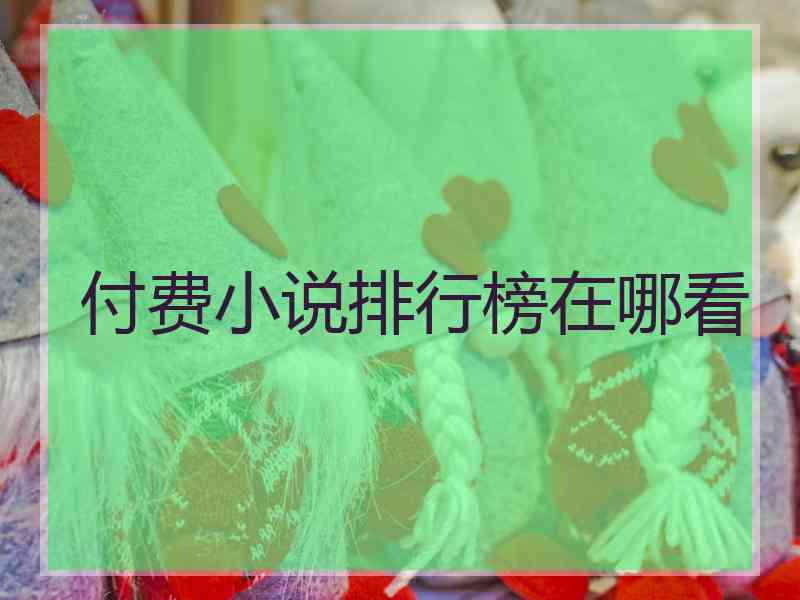付费小说排行榜在哪看