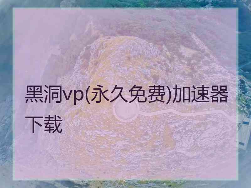 黑洞vp(永久免费)加速器下载