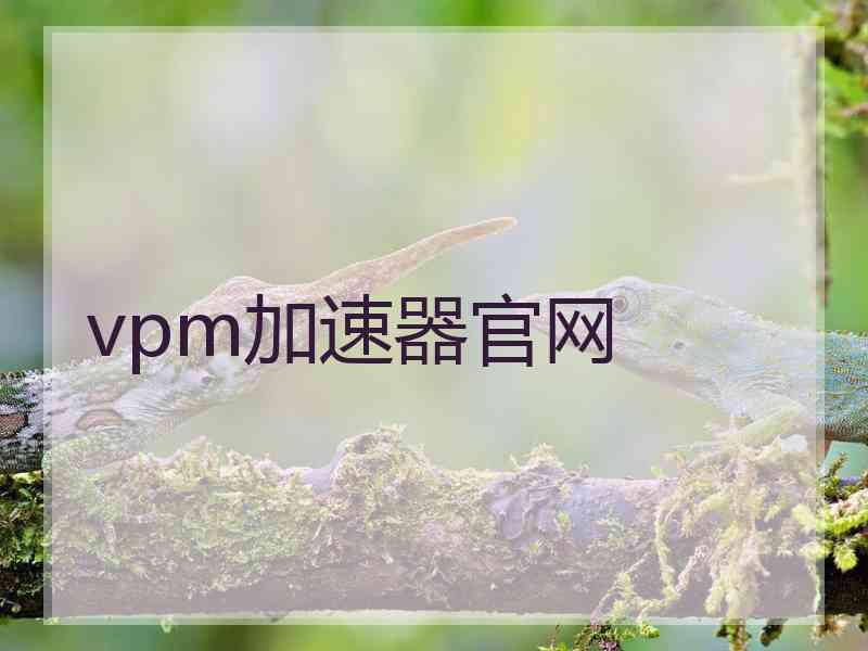 vpm加速器官网