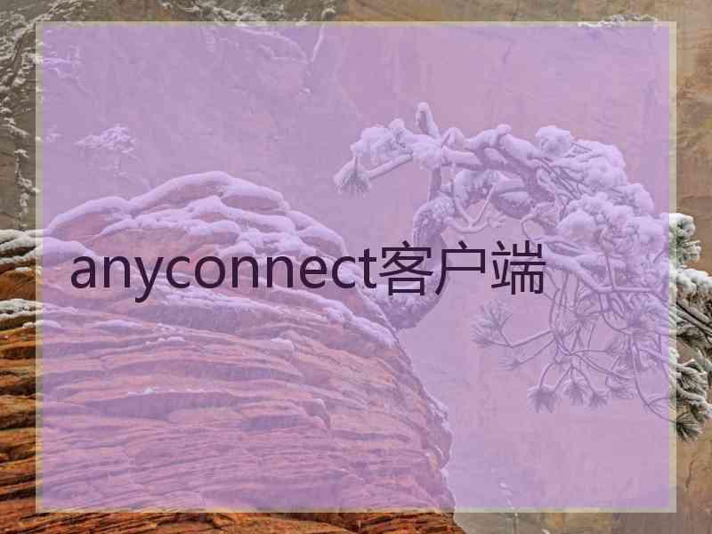 anyconnect客户端
