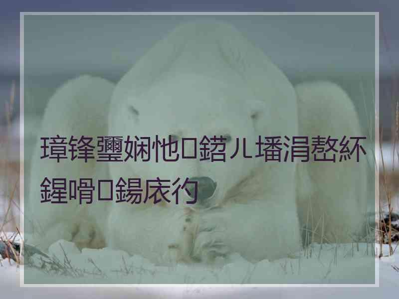 璋锋瓕娴忚鍣ㄦ墦涓嶅紑鍟嗗鍚庡彴