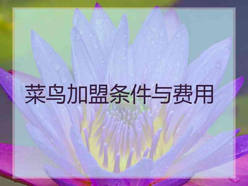 菜鸟加盟条件与费用