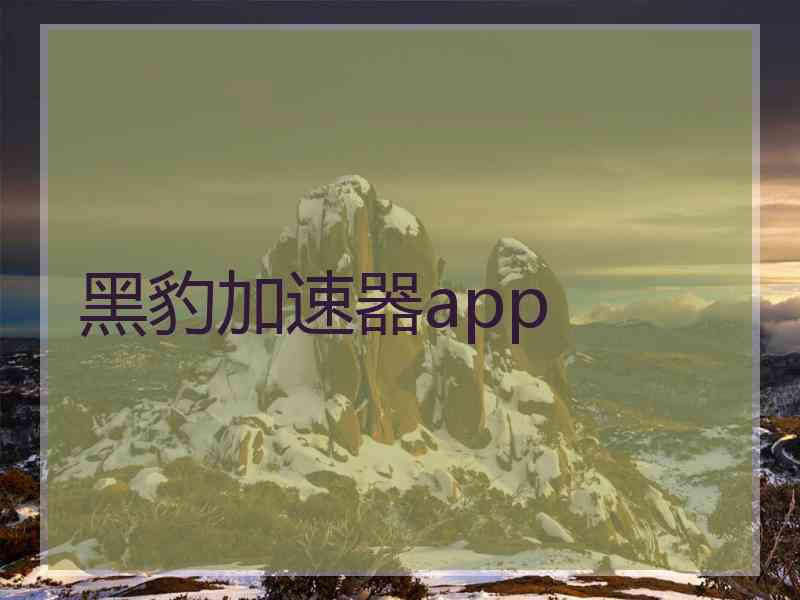 黑豹加速器app