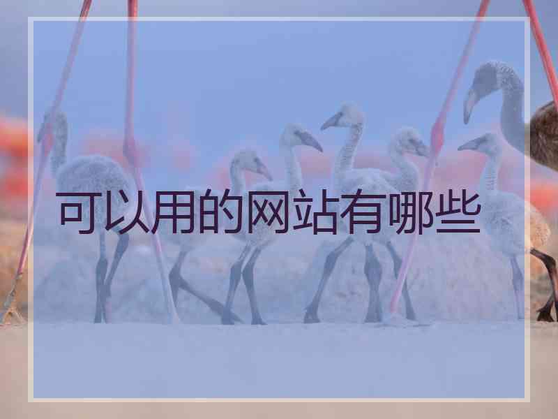 可以用的网站有哪些