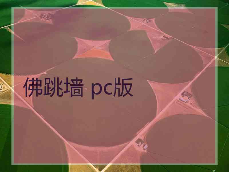 佛跳墙 pc版