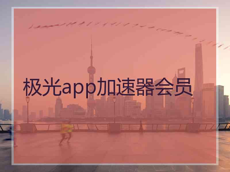 极光app加速器会员