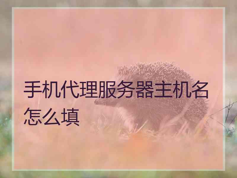 手机代理服务器主机名怎么填