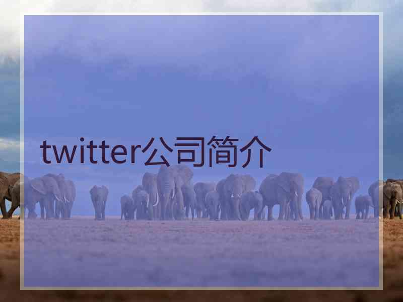 twitter公司简介
