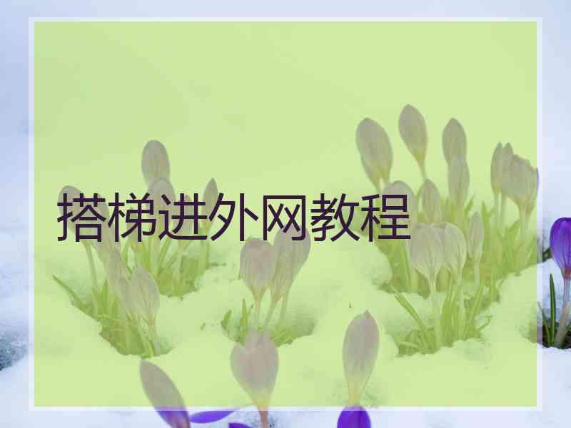 搭梯进外网教程
