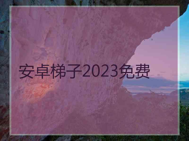 安卓梯子2023免费