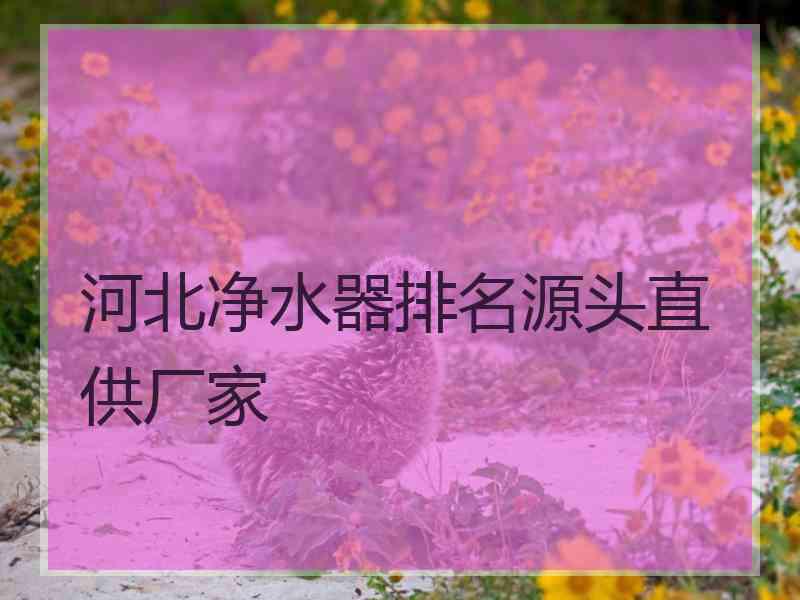 河北净水器排名源头直供厂家