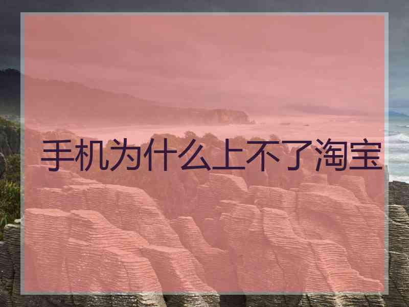 手机为什么上不了淘宝