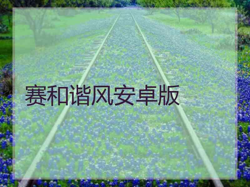 赛和谐风安卓版