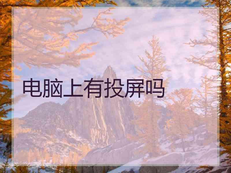 电脑上有投屏吗