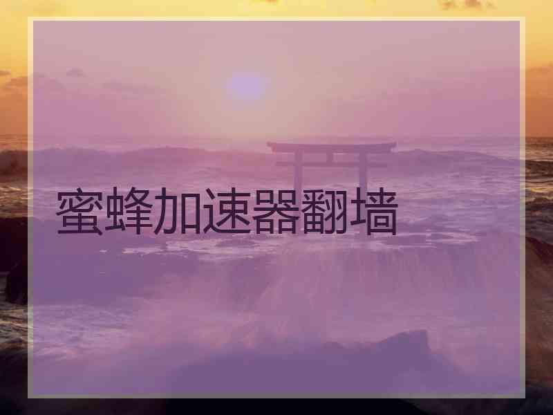 蜜蜂加速器翻墙