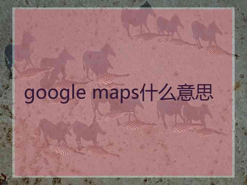 google maps什么意思