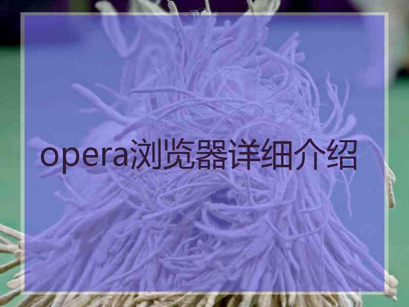 opera浏览器详细介绍