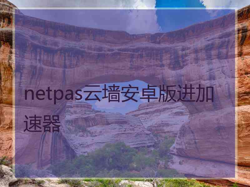 netpas云墙安卓版进加速器