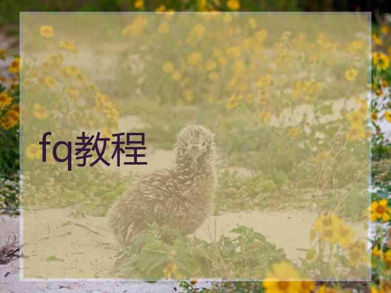 fq教程