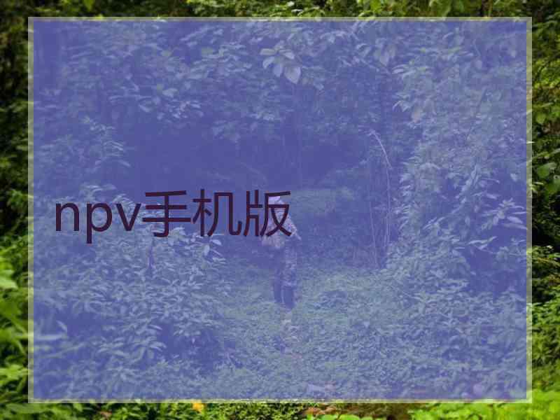 npv手机版