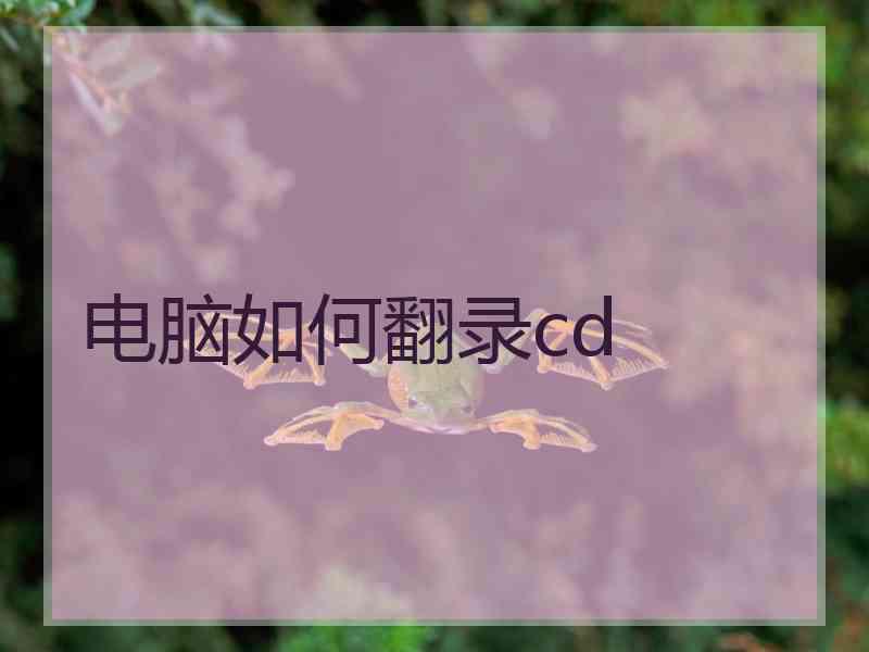 电脑如何翻录cd