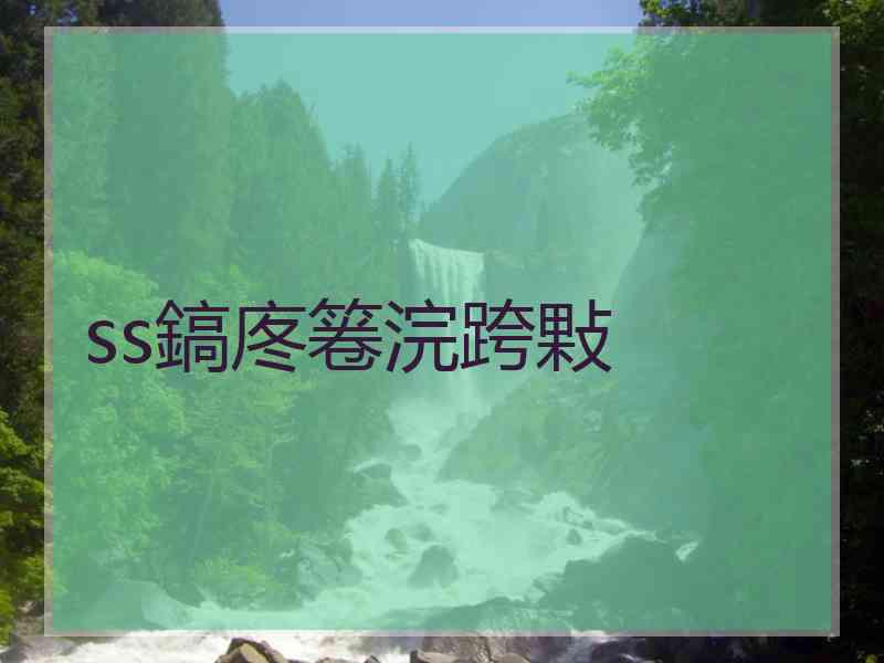 ss鎬庝箞浣跨敤