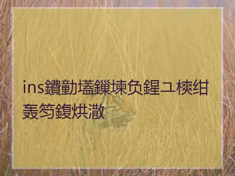 ins鐨勭壒鏁堜负鍟ユ樉绀轰笉鍑烘潵