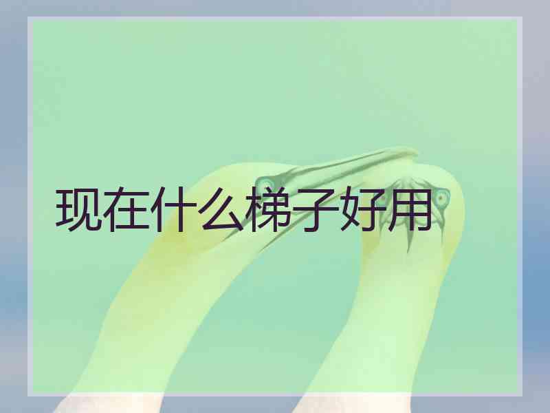 现在什么梯子好用