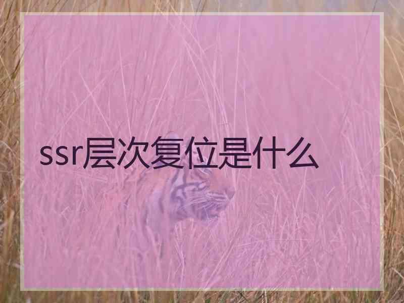 ssr层次复位是什么