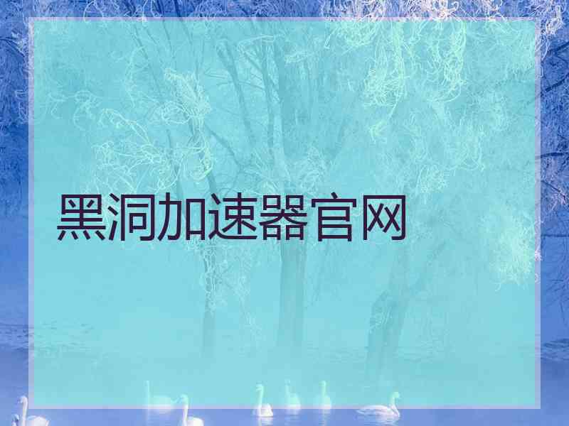 黑洞加速器官网