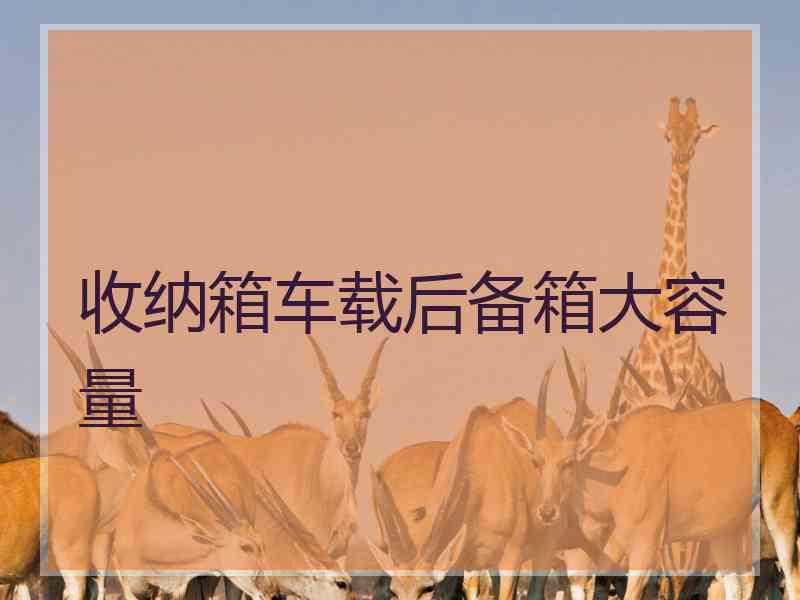 收纳箱车载后备箱大容量