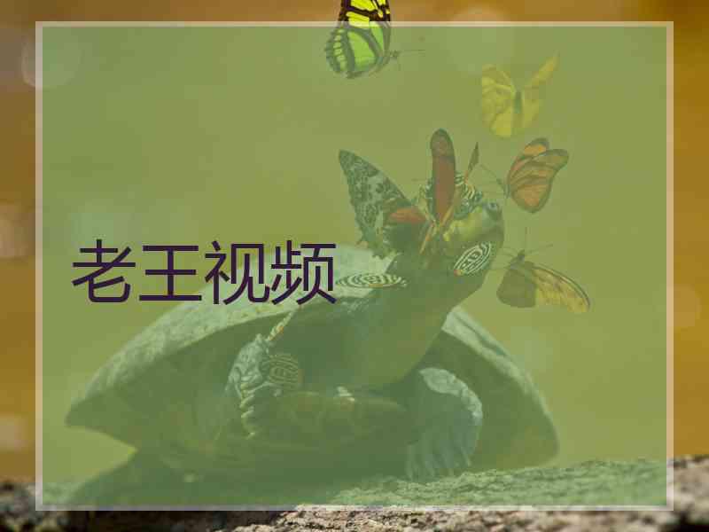 老王视频
