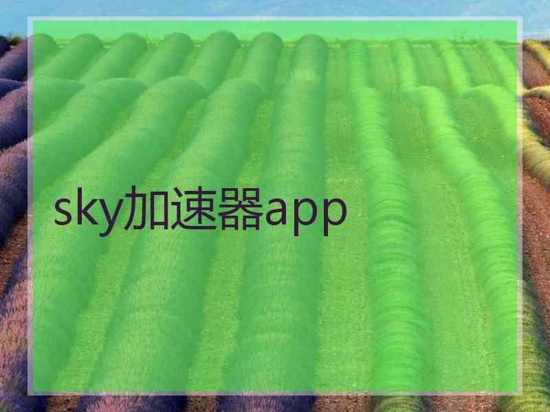 sky加速器app