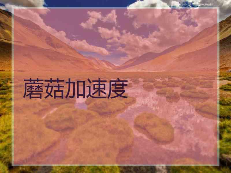 蘑菇加速度