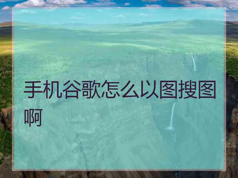 手机谷歌怎么以图搜图啊