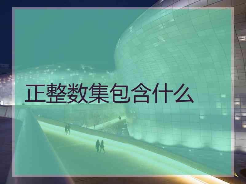 正整数集包含什么