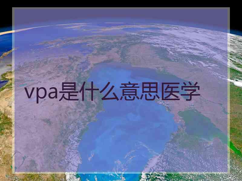 vpa是什么意思医学