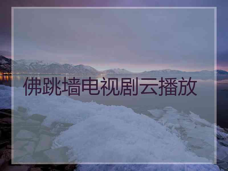 佛跳墙电视剧云播放