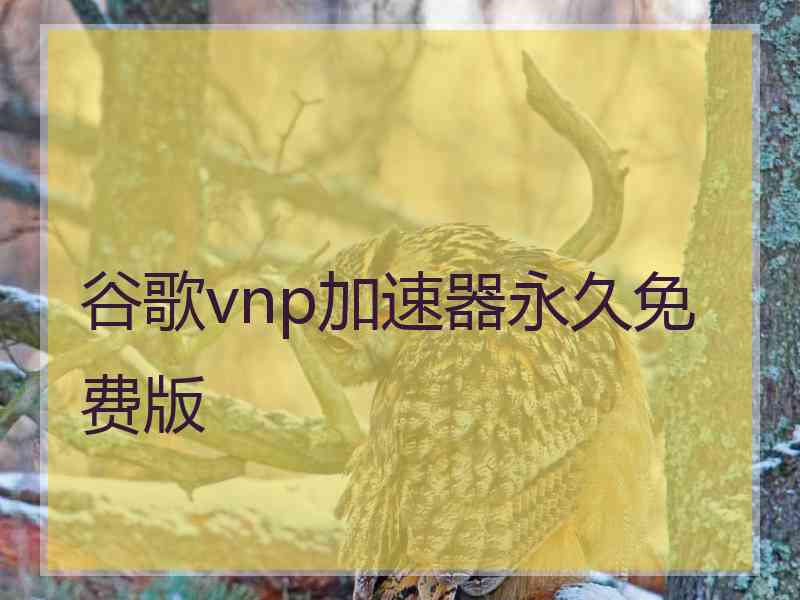 谷歌vnp加速器永久免费版