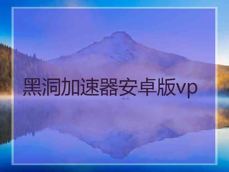 黑洞加速器安卓版vp