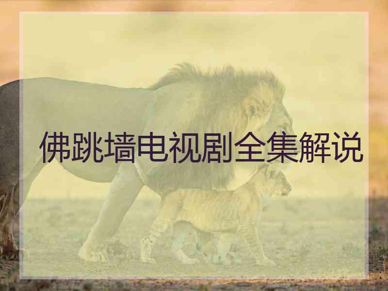 佛跳墙电视剧全集解说