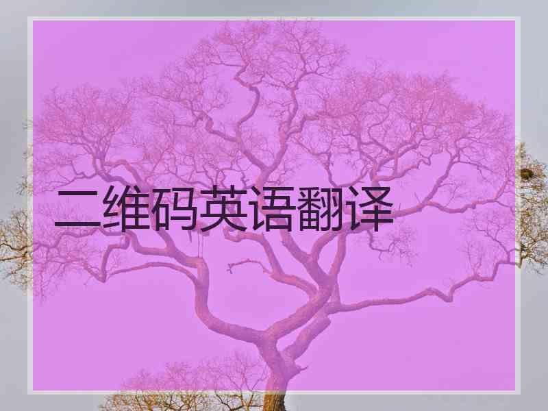 二维码英语翻译