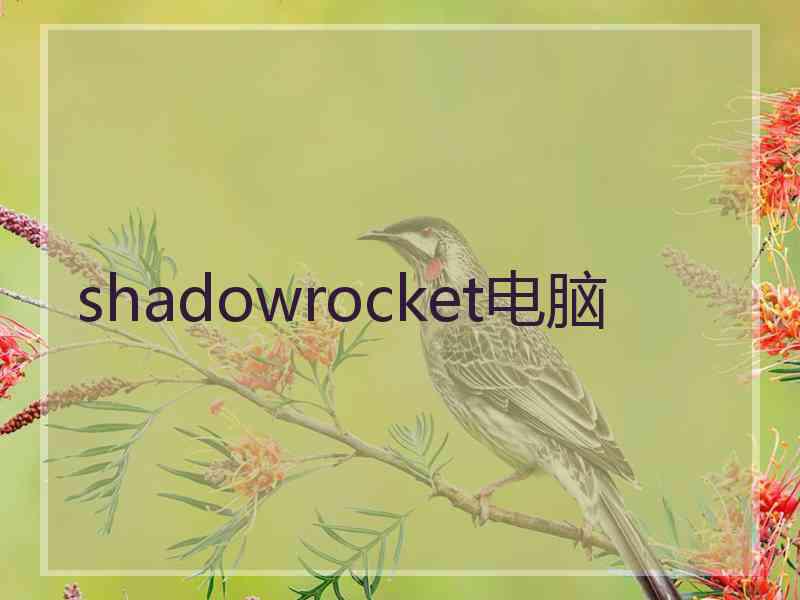 shadowrocket电脑