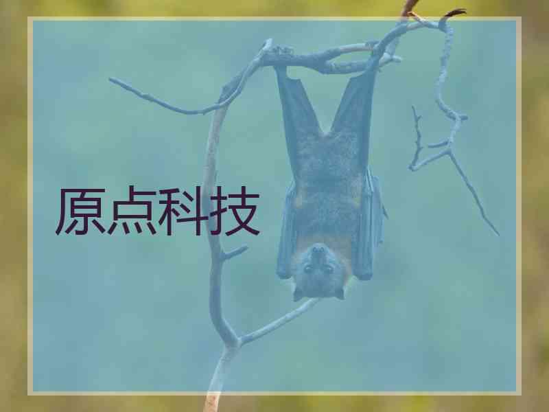原点科技