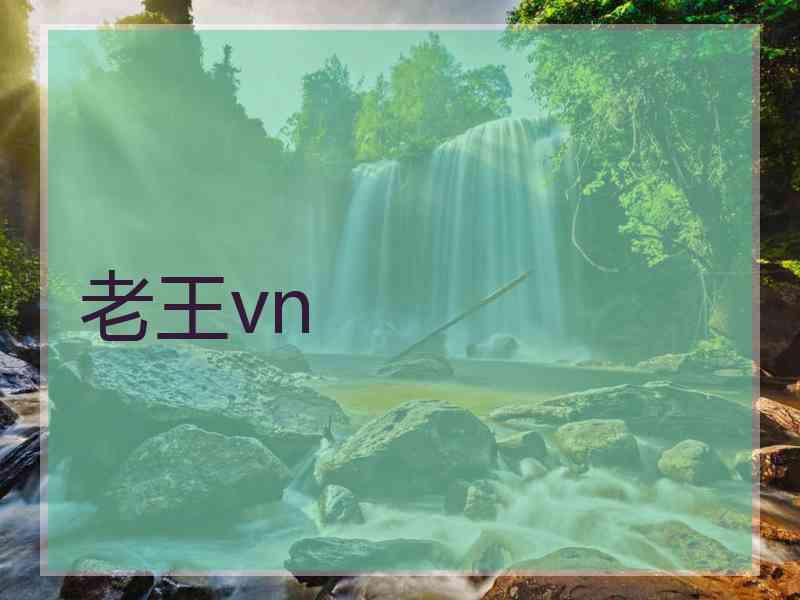 老王vn