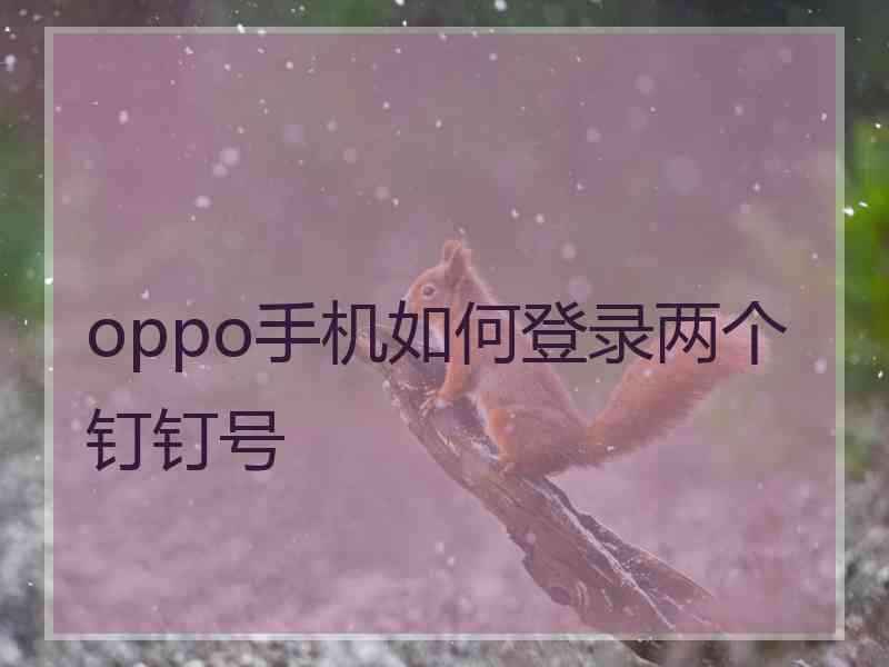 oppo手机如何登录两个钉钉号
