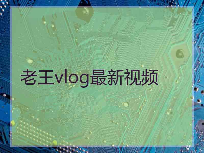 老王vlog最新视频